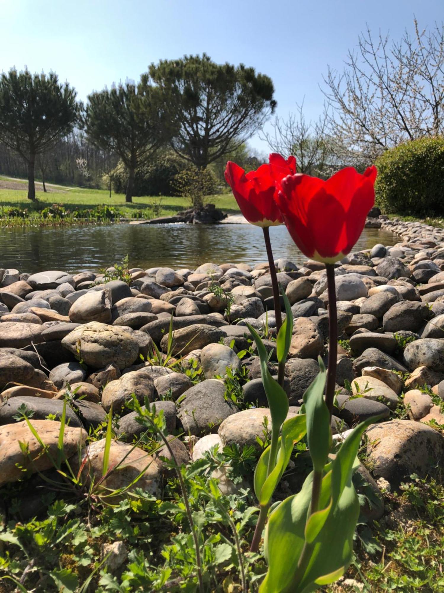 Le Hameau Des Coquelicots *